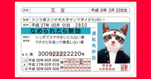 あなただけのなめ猫免許証が作成できる ワイモバイルなめ猫免許センターのキャンペーンをシェアしよう Ripre 特別な 体験をあなたに
